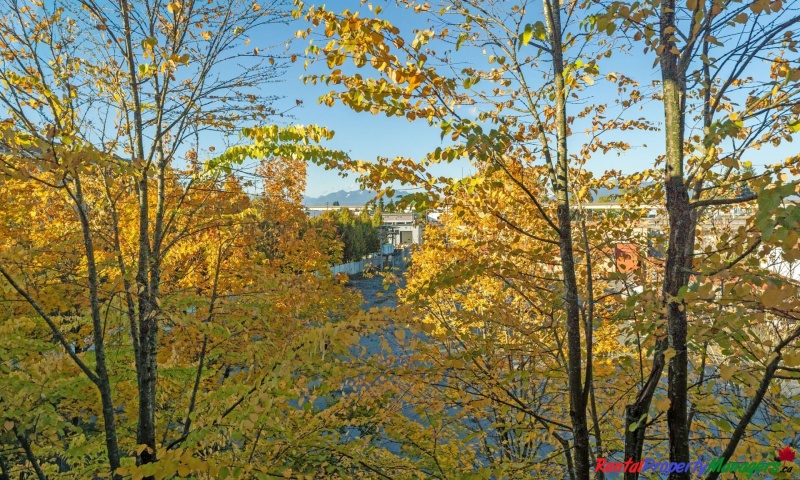 #4xx-5885 Irmin Street, Burnaby, 1 Bedroom Bedrooms, ,1 BathroomBathrooms,Condo,Rented and Completed,Macpherson Walk,#4xx-5885 Irmin Street, Burnaby,1100