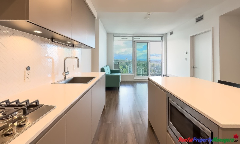 4xxx-3809 Evergreen Place, Burnaby, 1 Bedroom Bedrooms, ,1 BathroomBathrooms,Condo,Rented and Being Managed,City of Lougheed Tower1,4xxx-3809 Evergreen Place, Burnaby ,1103